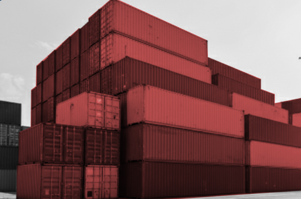 Custom WMS for 3PL Operations at LogiNyst Solutions